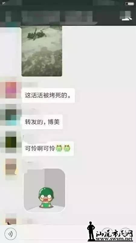 1.webp.jpg