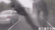 0 (2).gif