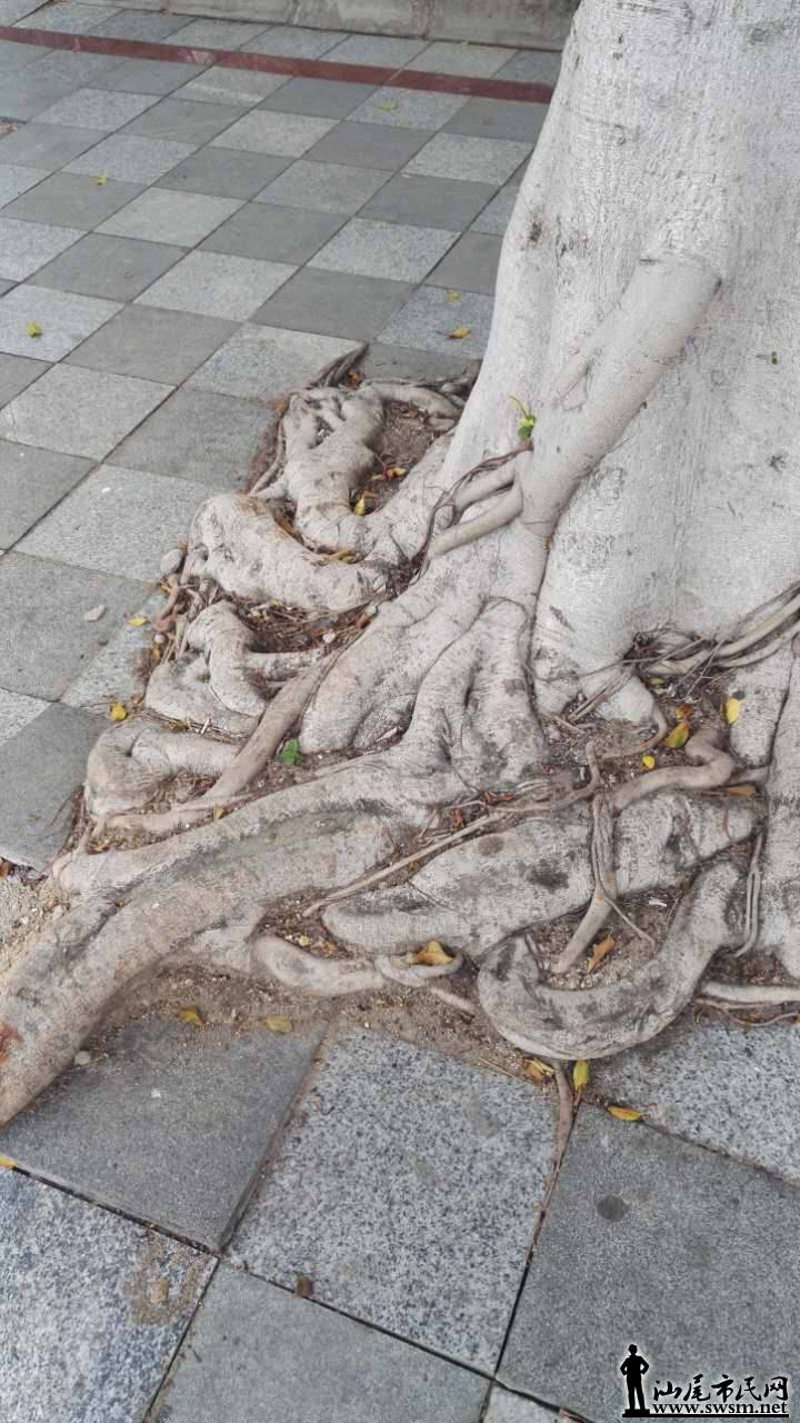 689067237706032348.jpg