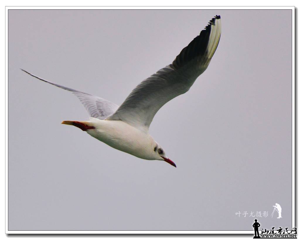 DSC_0346-0.jpg
