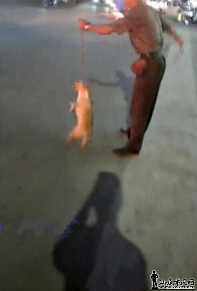 612910527189485242.jpg