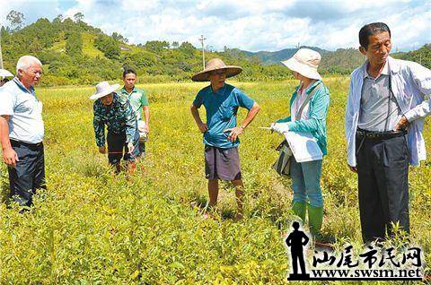 wechat_upload1495806437592831e5b3cf7