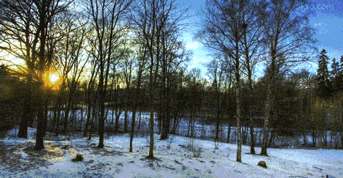 0002.gif