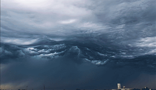 0006.gif