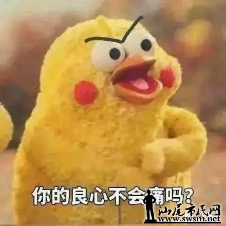 640.webp (24).jpg