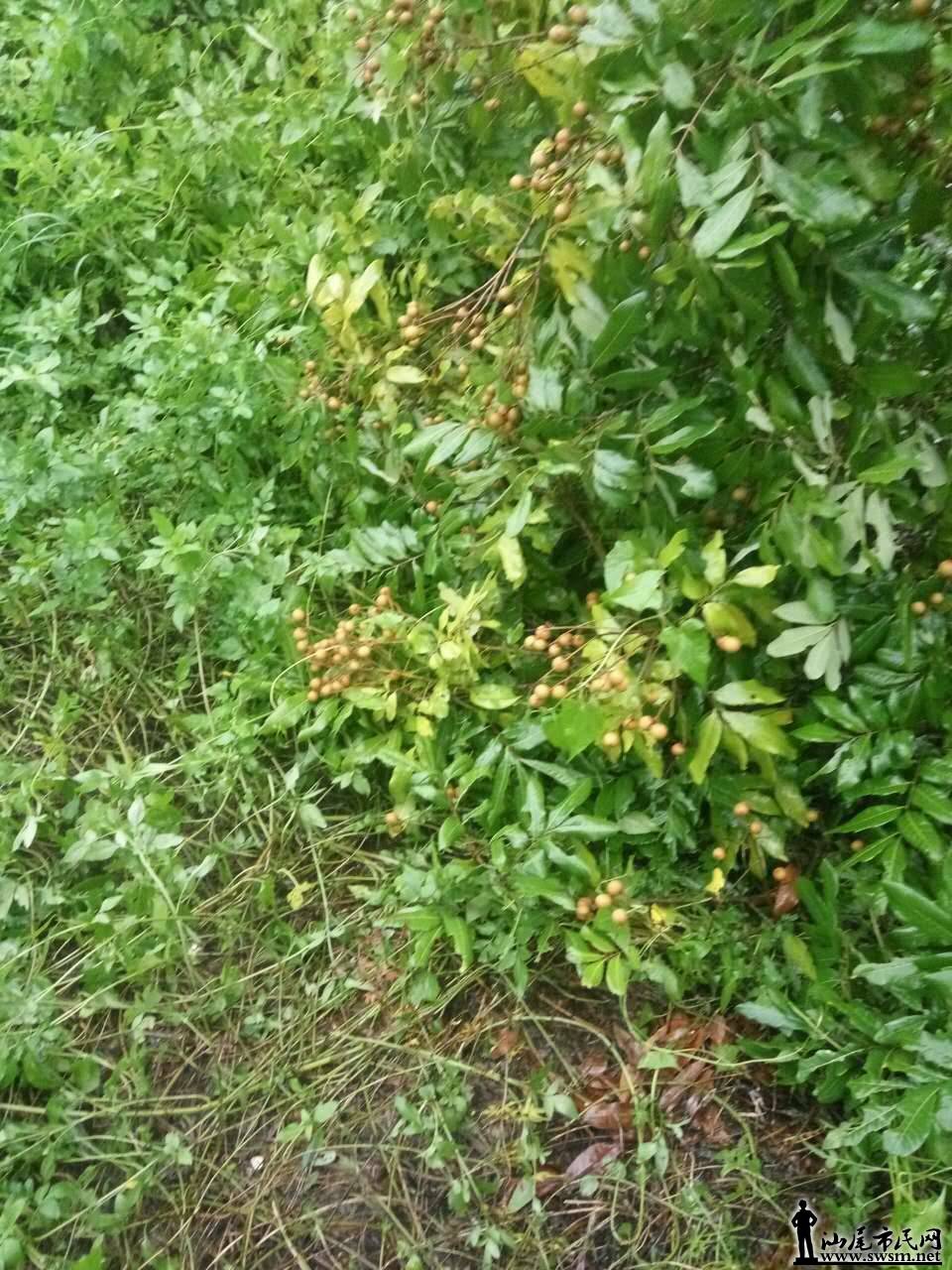 ΢ͼƬ_20170724172657.jpg