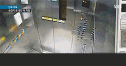 020.gif