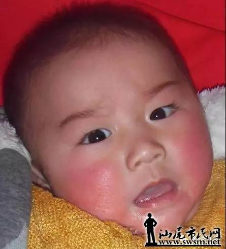 069.webp.jpg