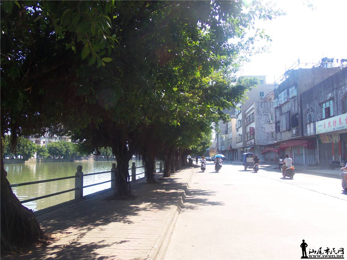 100_6762.JPG