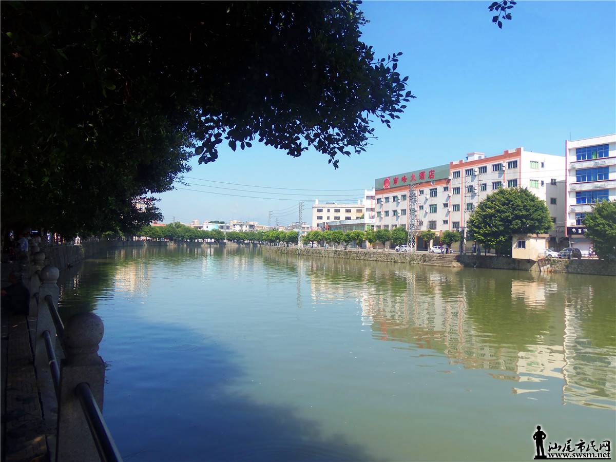 100_6763.JPG