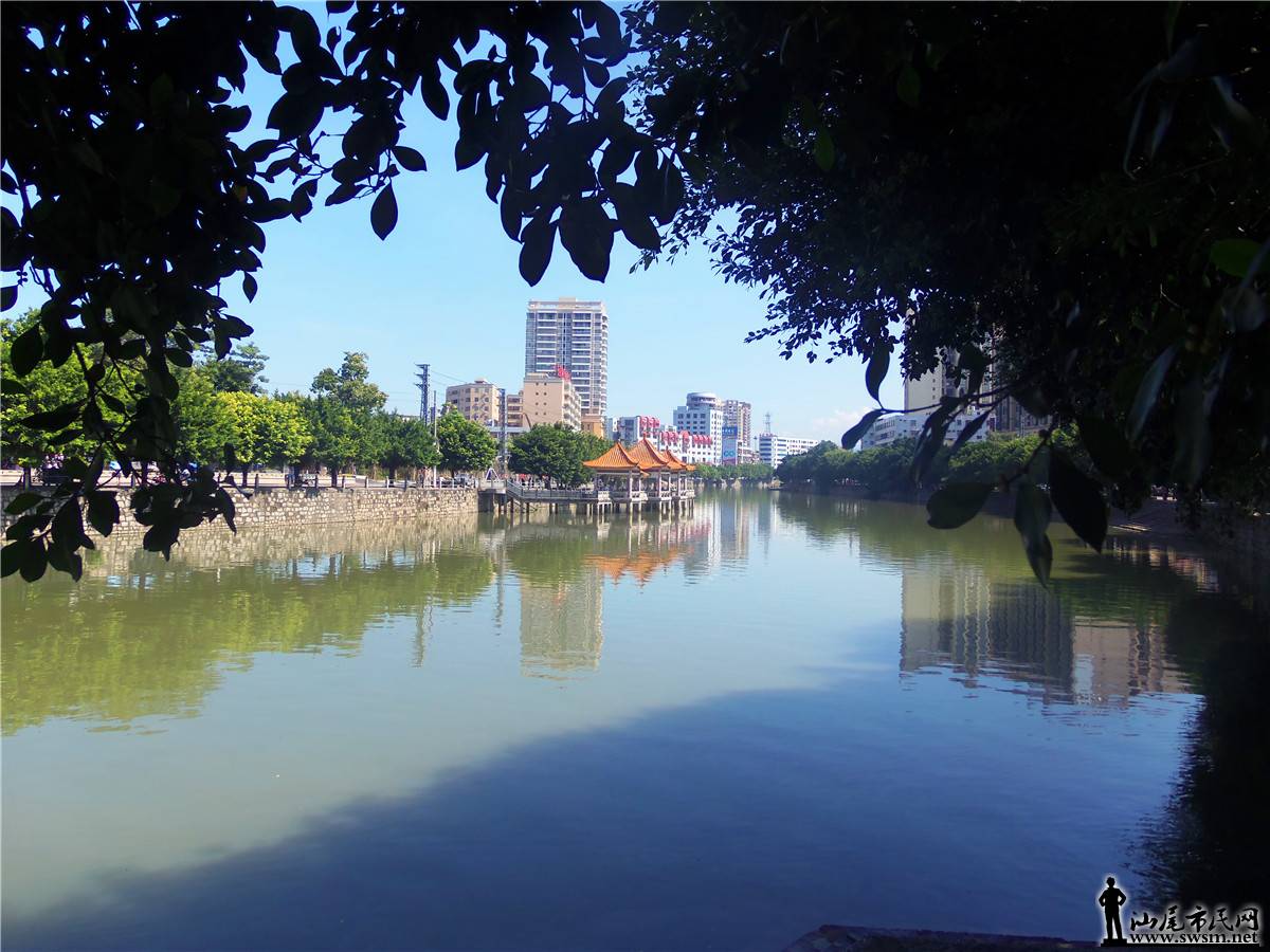 100_6777.JPG