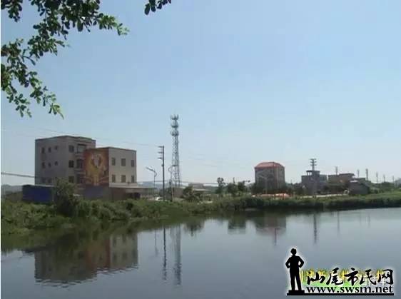 640.webp (31).jpg