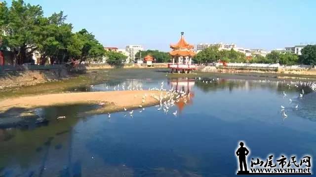 841820403fbdf64ceb1a74811235e93dx640x359x21.webp;,3,jpegx;3,700x.jpg