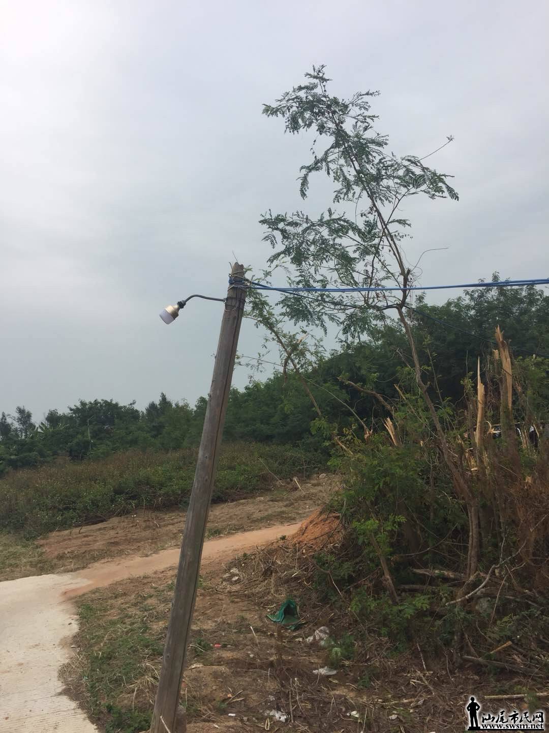 wechat_upload15130578715a2f6e4fa4cea