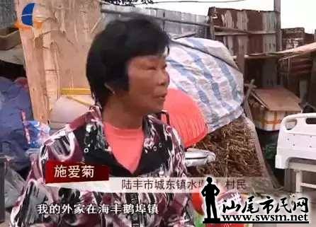 d37ec643193ecc7ad910a7aac7def7e1x446x321x24.webp;,3,jpegx;3,700x.jpg