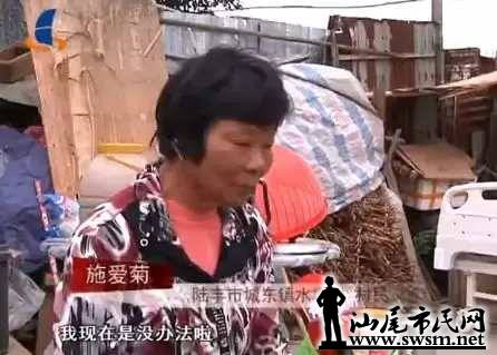 43ce832f189a7689968e3e5a243ed1abx446x319x23.webp;,3,jpegx;3,700x.jpg