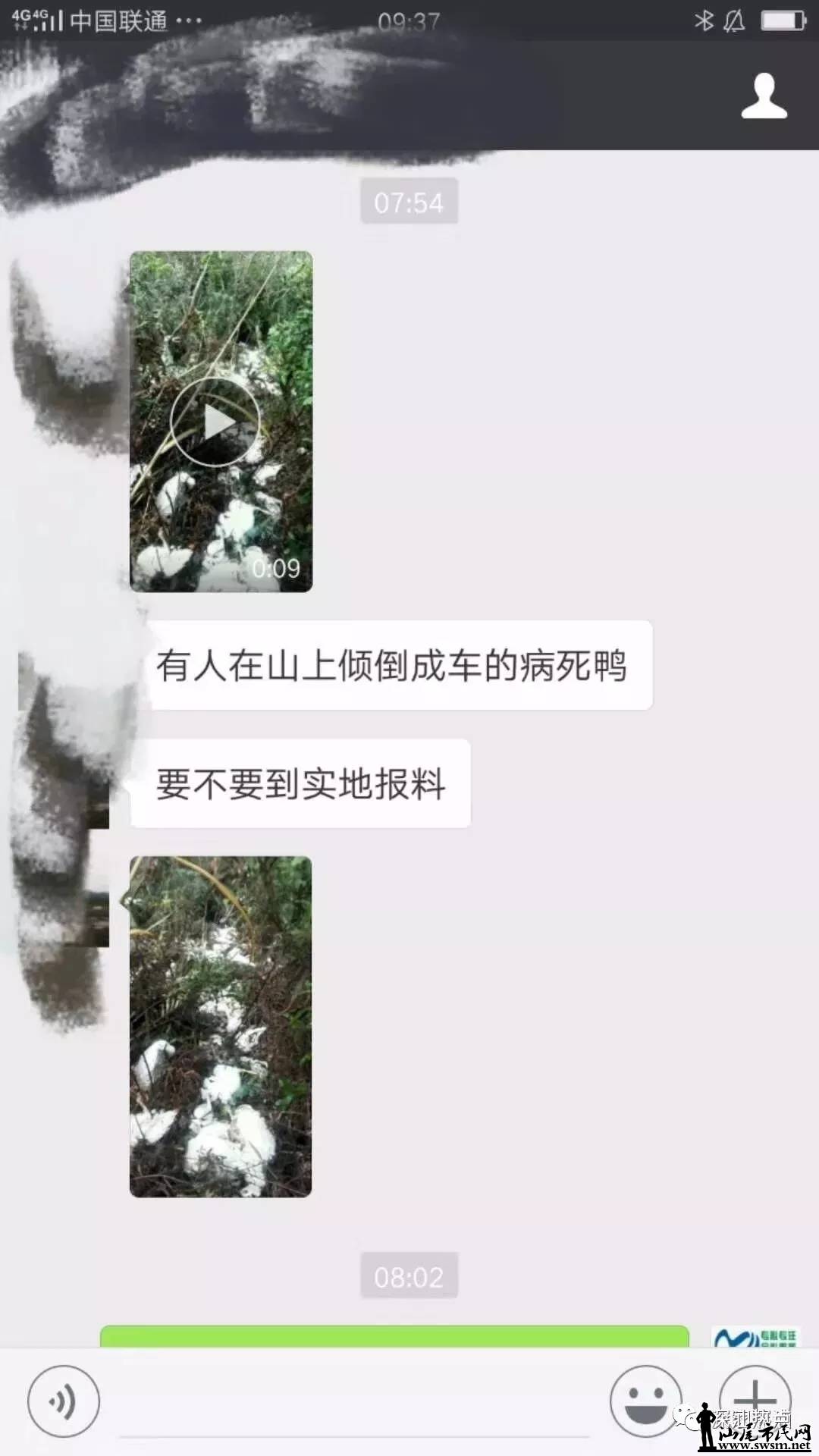001.webp.jpg