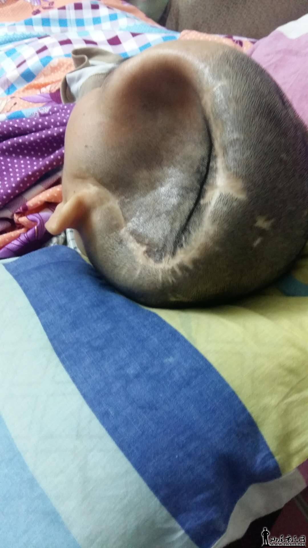 ΢ͼƬ_201801251705073.jpg