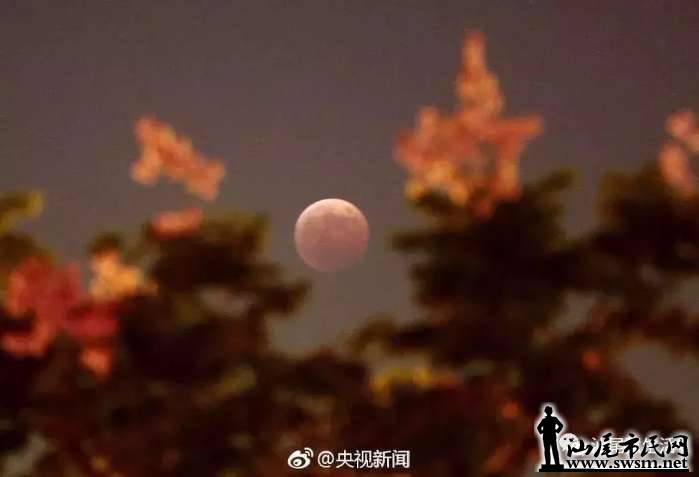 156a076e419e923cf97441c0827688f9x1024x699x20.webp;,3,jpegx;3,700x.jpg