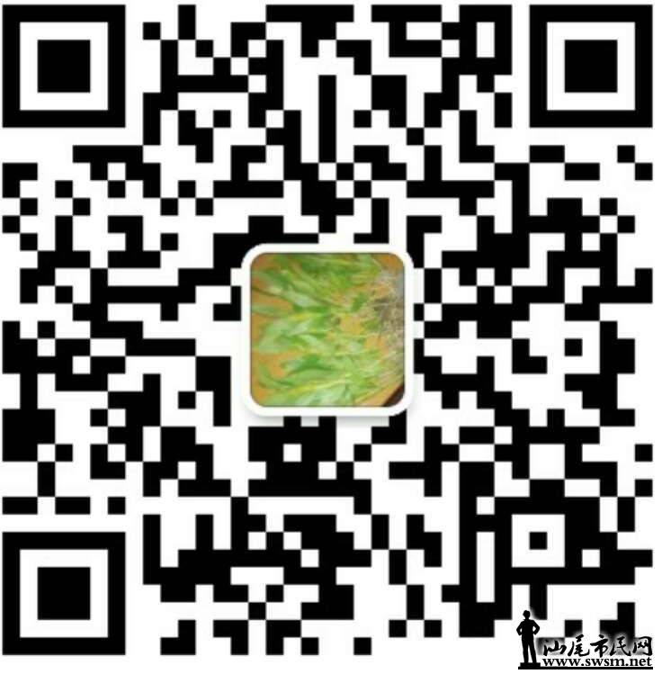 wechat_upload15207485495aa4c805c64d3