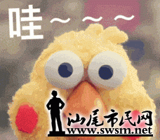 bf74a3f1219434c9be7375259e1b6dd3x228x200x346.gif;,60,;12,0,600x.gif