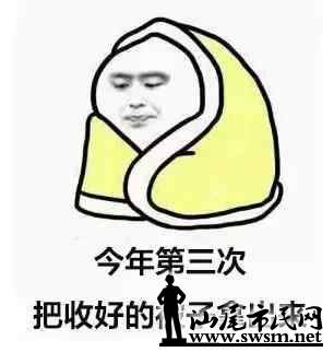 8990163b6494c9dc85042187baf8c256x306x322x9.webp;,3,jpegx;3,700x.jpg