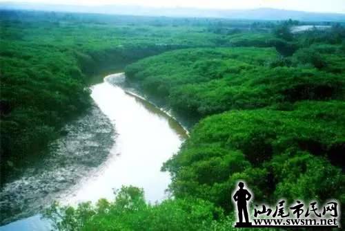 67940044424b276d244d75e5e9a67fc7x500x334x20.webp;,3,jpegx;3,700x.jpg