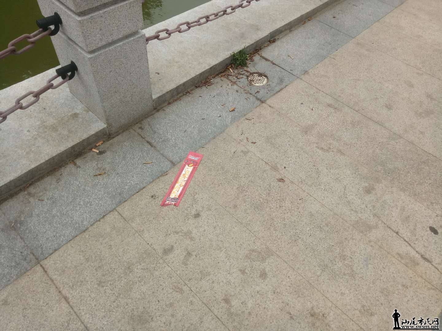 223.jpg