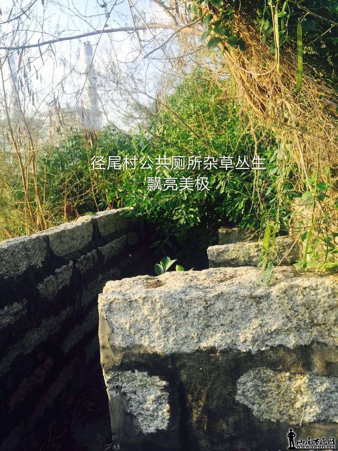 ΢ͼƬ_20180513194429.jpg