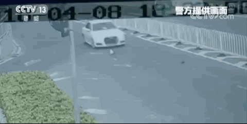 25879344.gif