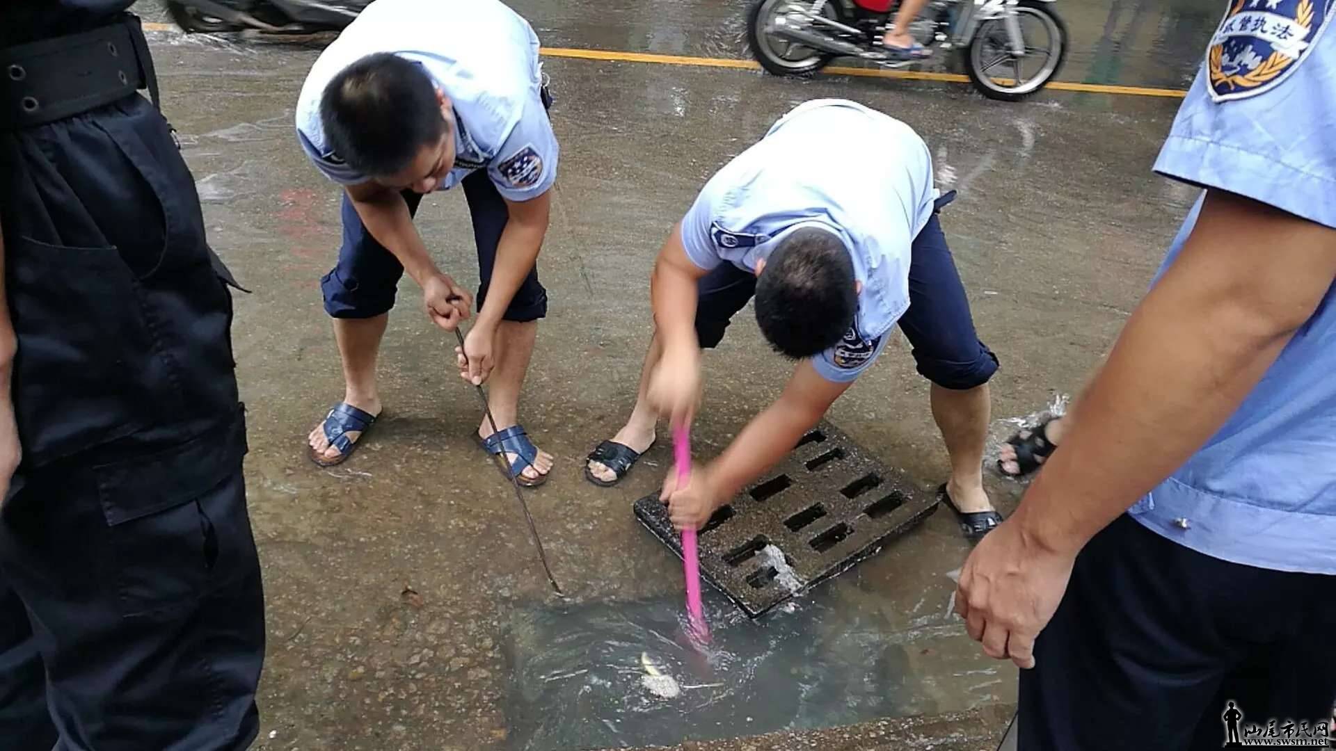 磬سͻǿ꣬Ⱥػ