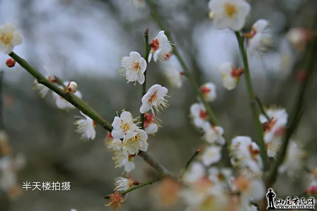 wechat_upload15473665215c3af079491db