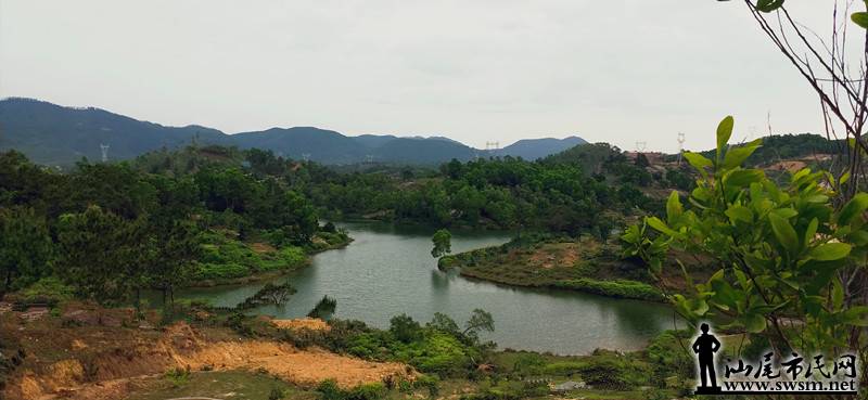 IMG20190331090346.jpg