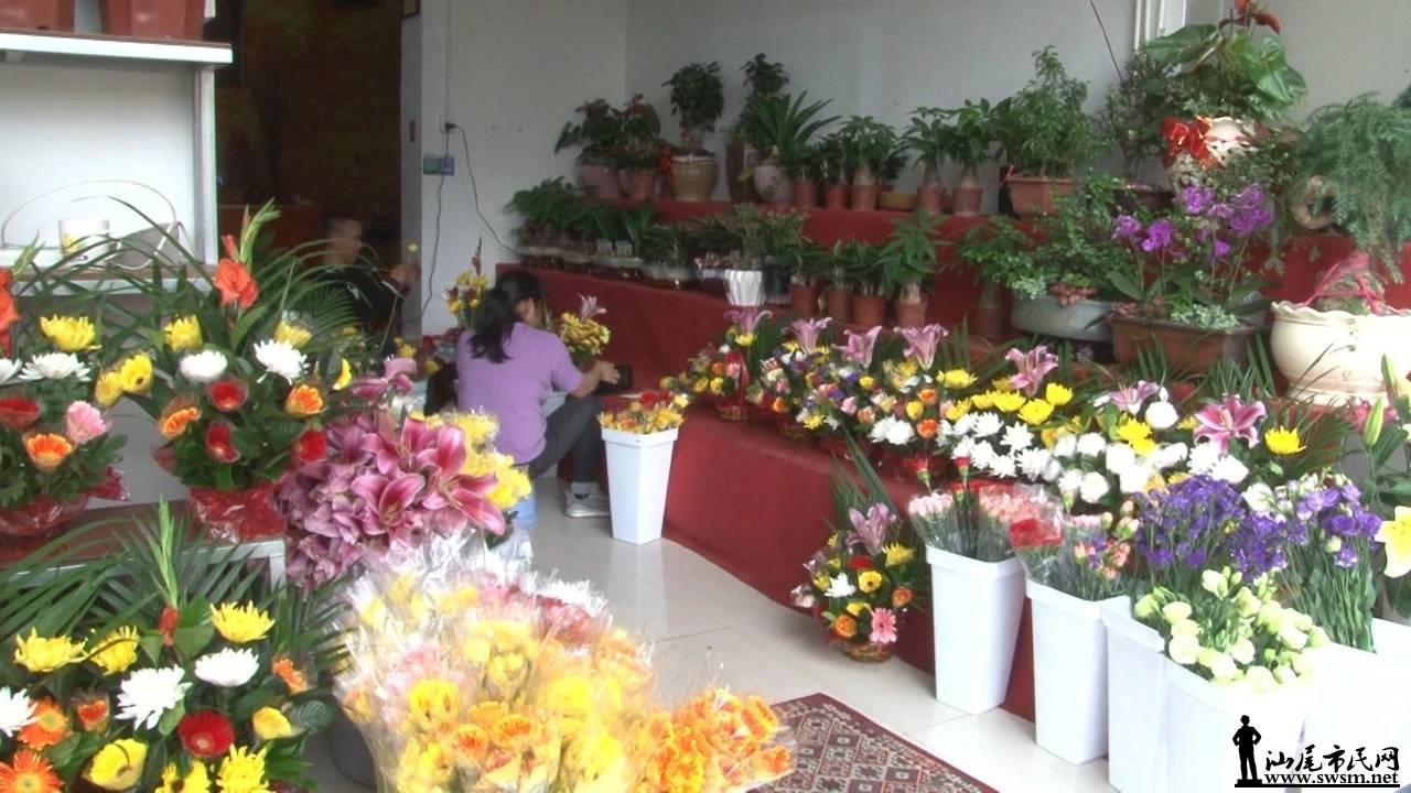 mmexport1554601516767.jpg