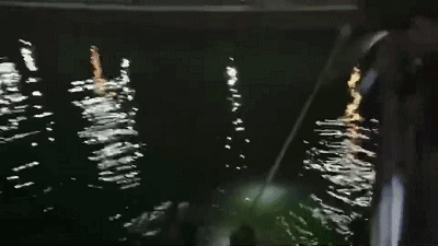 ΢ͼƬ_20190426174605.gif
