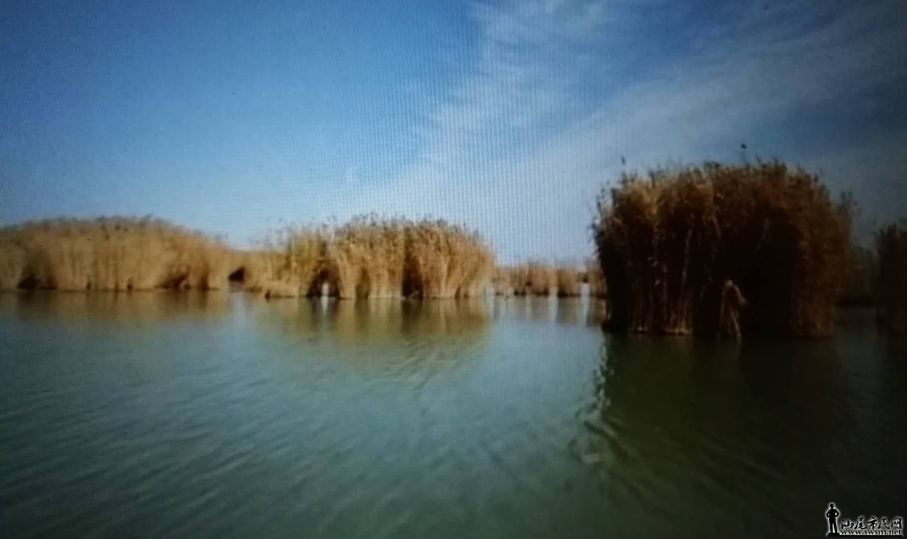 ΢ͼƬ_20190502162600.jpg