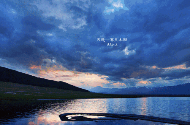 8.gif