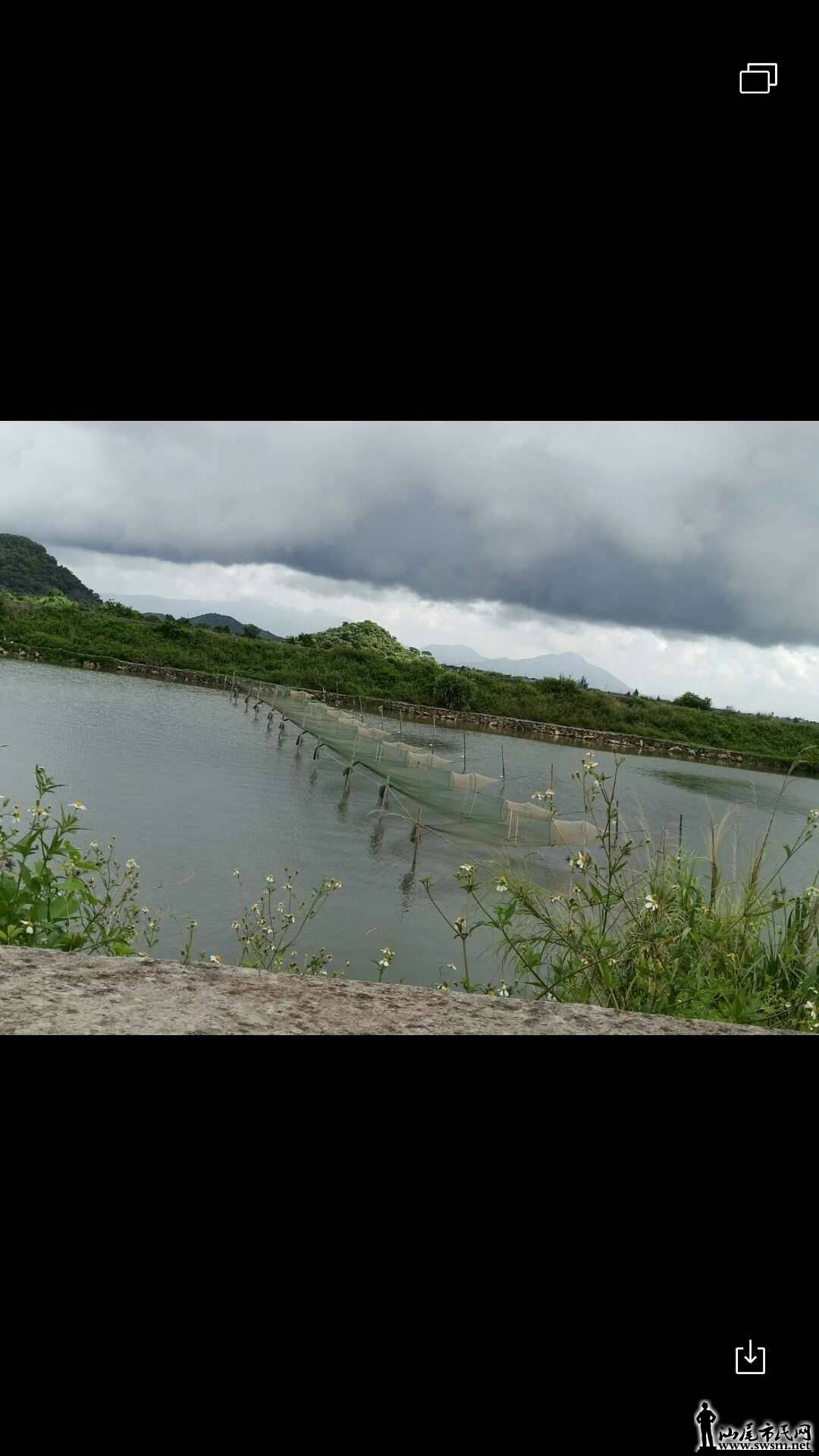 wechat_upload15671353995d6896a750fe3
