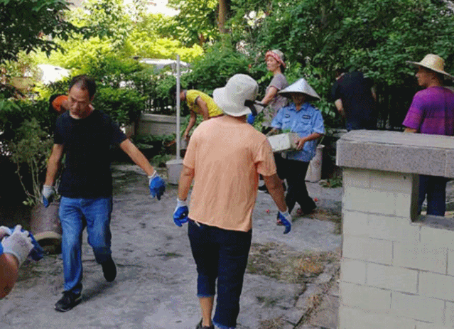 640 (8).gif