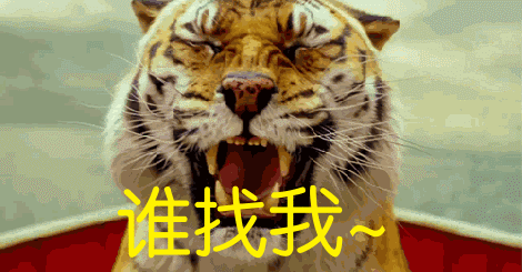 ΢ͼƬ_20190919143916.gif