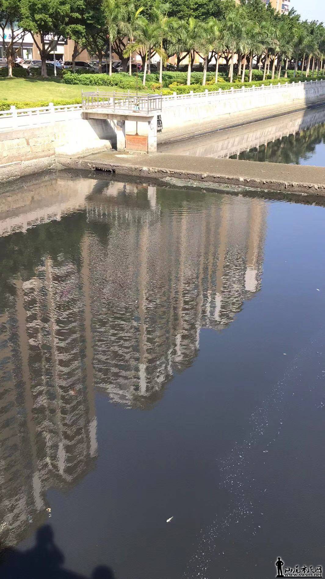ɽ.jpg