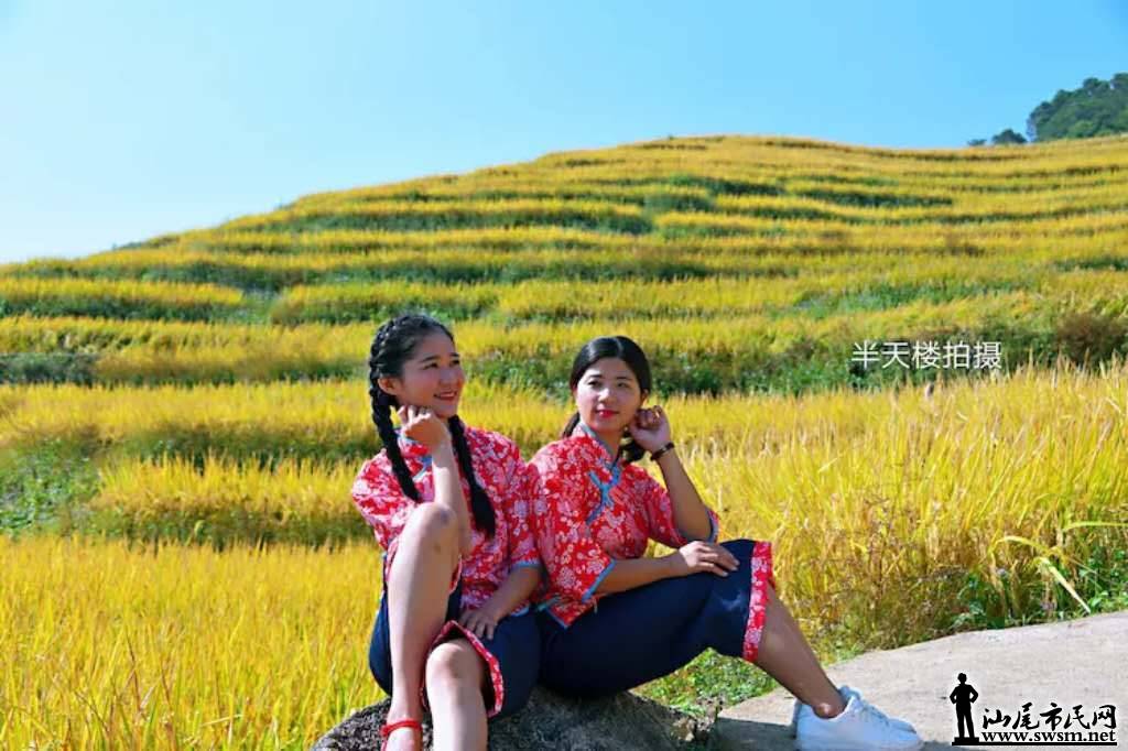 wechat_upload15727586545dbe647eb9251