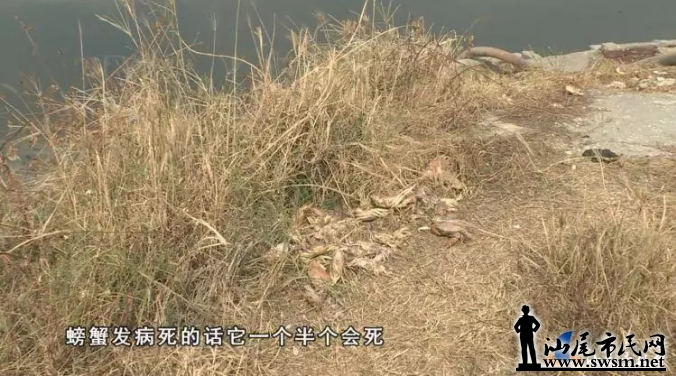 QQͼ20191103220811.png