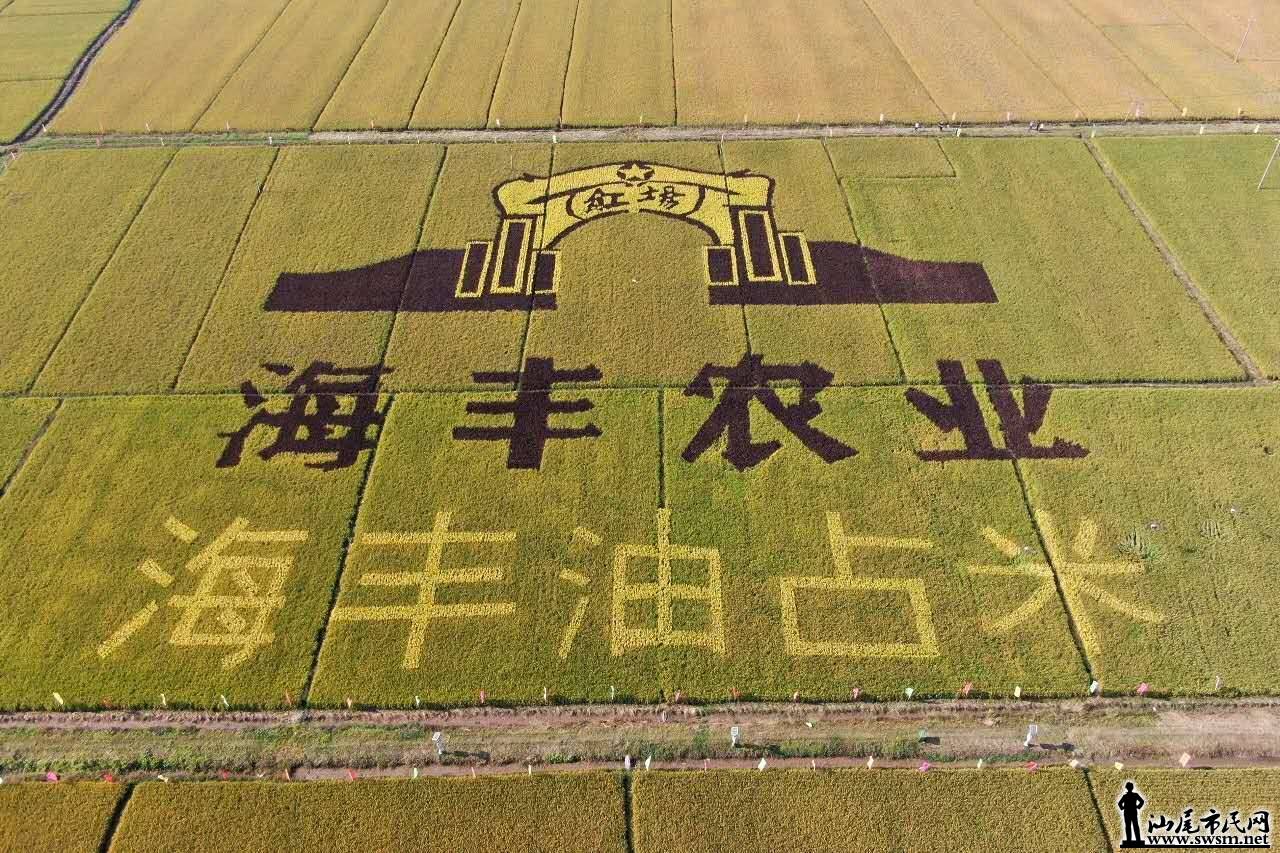 wechat_upload15732283345dc58f2e4f664