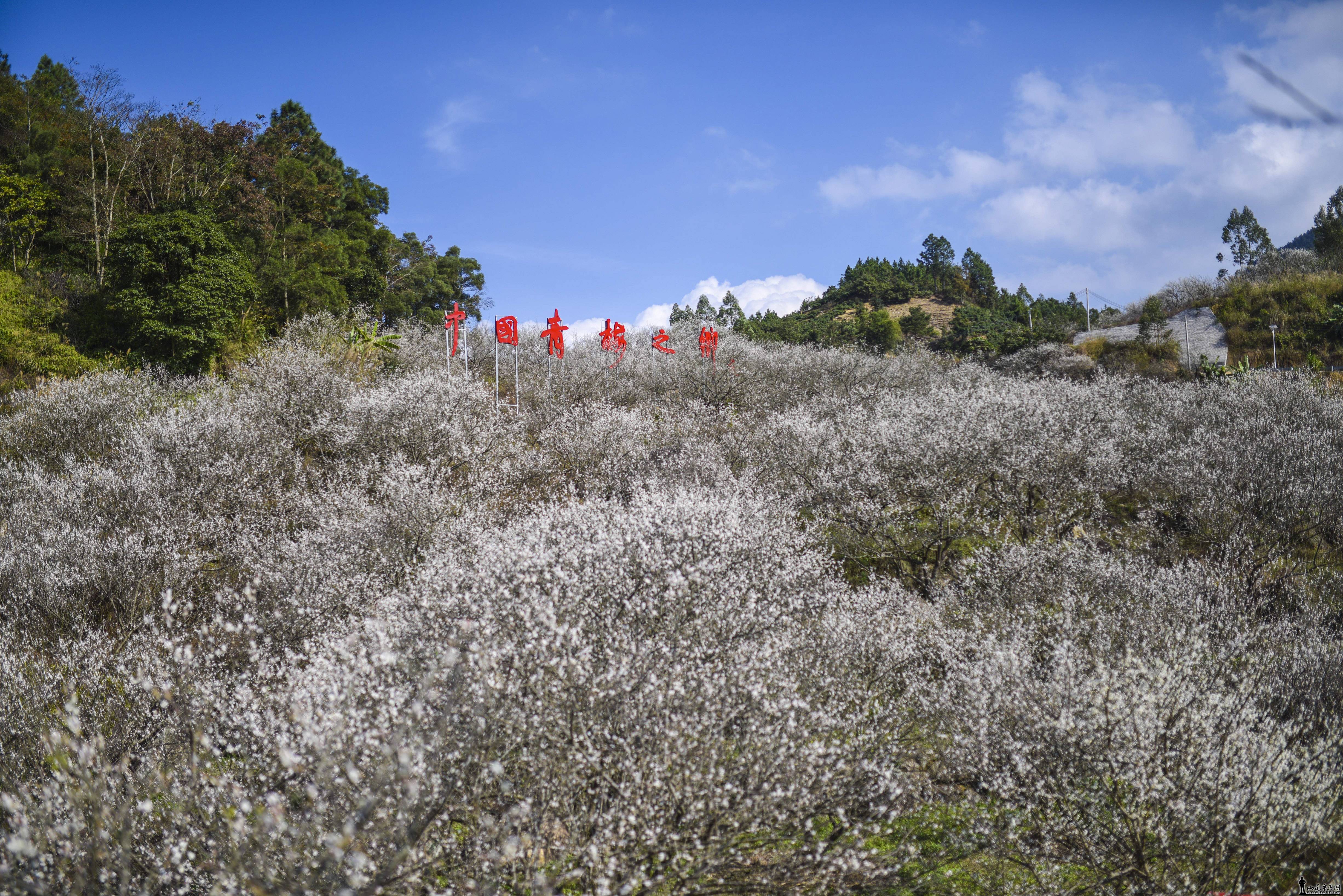 DSC_4404.jpg