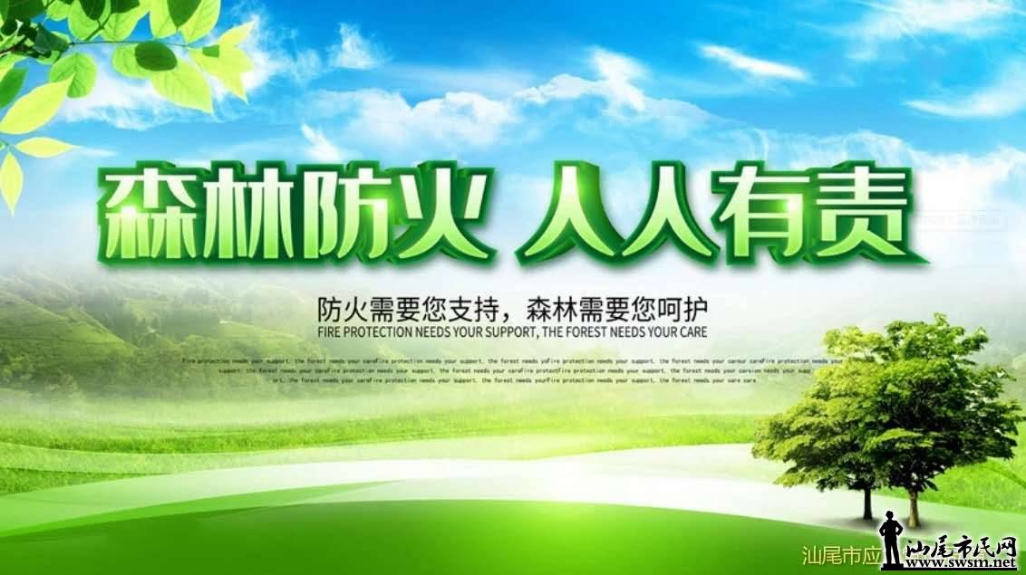 wechat_upload15762356865df372a66435f