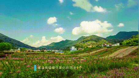 7.gif