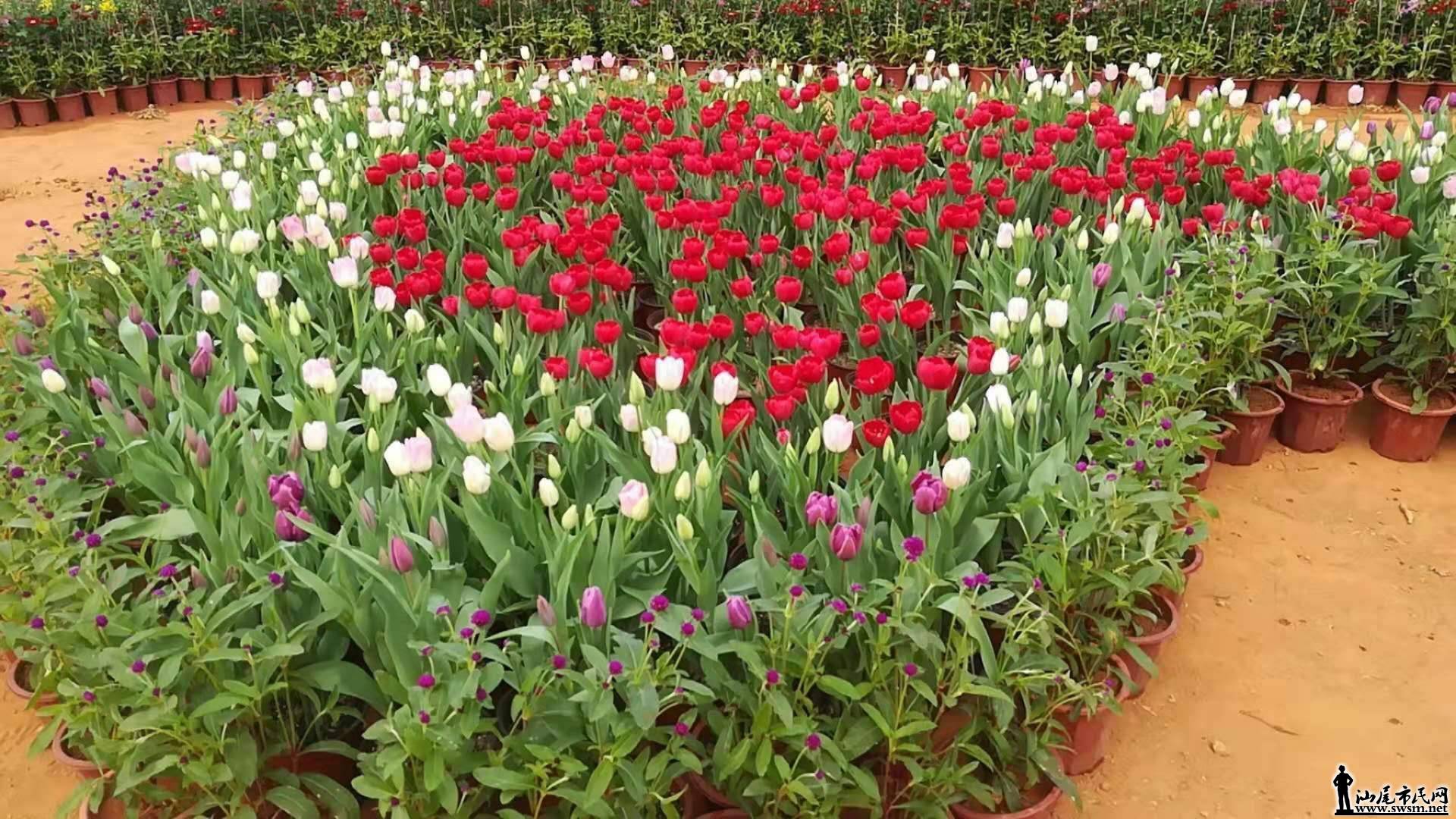 wechat_upload15789134275e1c4e93ddd57