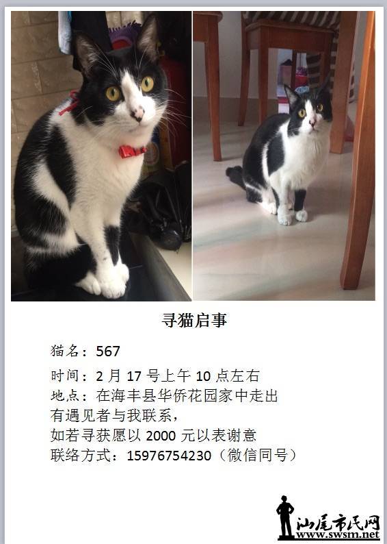 wechat_upload15820311715e4be1430e65c