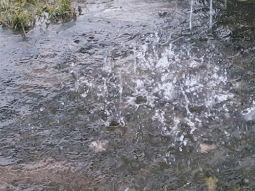΢ͼƬ_20200303113020.gif